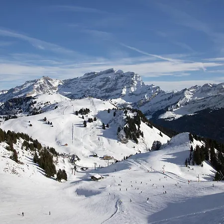 Dauphin 7 By Interhome Villars-sur-Ollon