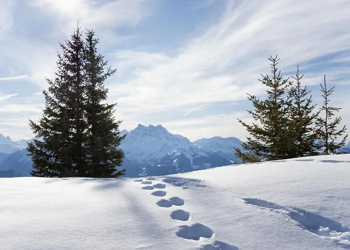 Dauphin 7 By Interhome